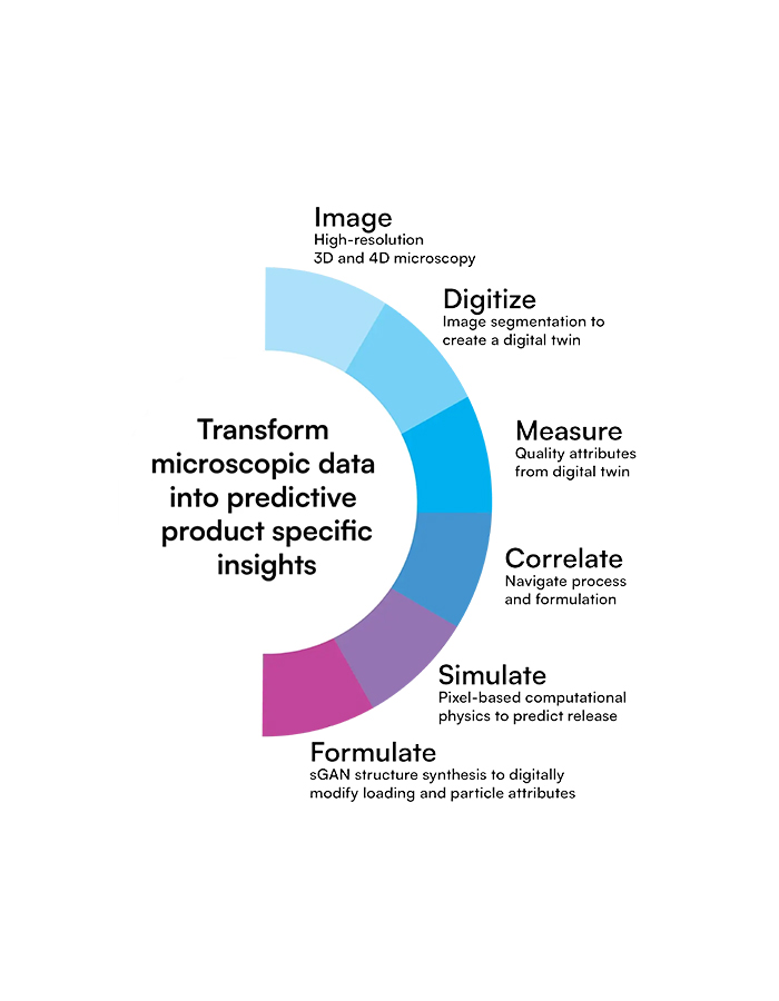Semicircular six-stage workflow around the text "Transform microscopic data into predictive product specific insights": Image, Digitize, Measure, Correlate, Simulate, and Formulate, moving from high-resolution microscopy through digital twin creation, measurement, correlation, physics-based release simulation, and sGAN structure synthesis.
