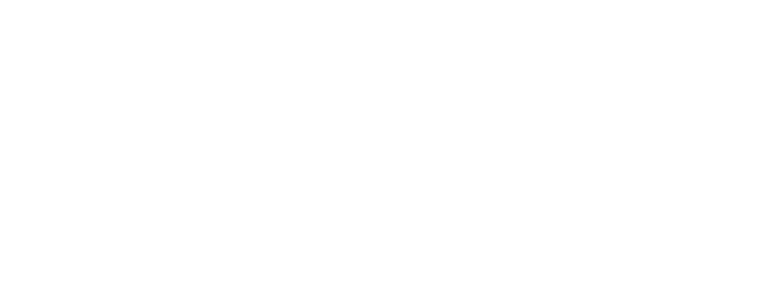 digiM Solution logo