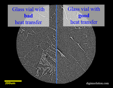 Microstructure analysis of lyophilized cake container closure system