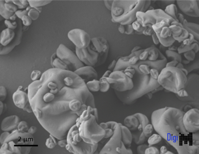3D microstructure imaging of amorphous solid dispersion spray-dried particles