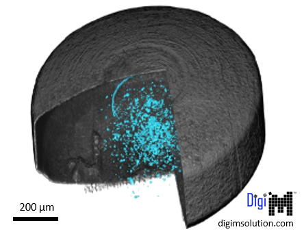Cross-sectional microstructure analysis of enteric-coated tablet