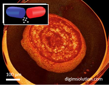 Sustained Release Ibuprofen Pellet