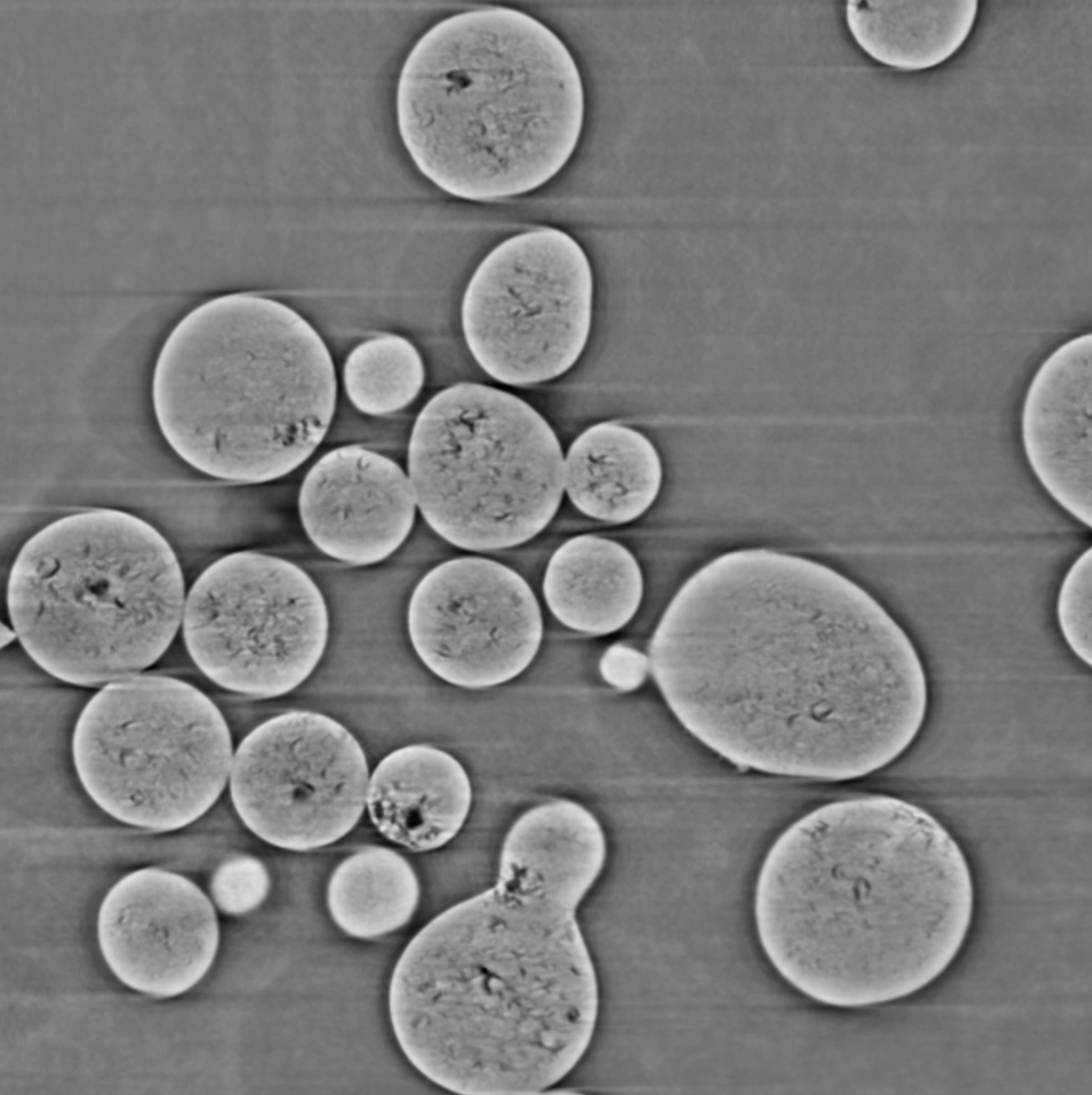 Synchrotron X-ray micro-CT cross-section image of pharmaceutical drug product showing spherical microspheres and particles used for drug product development analysis