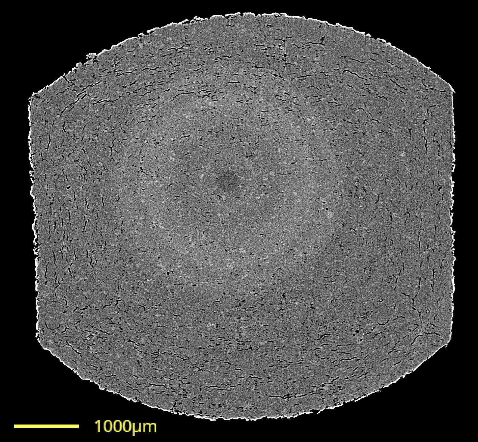 Synchrotron X-ray micro-CT