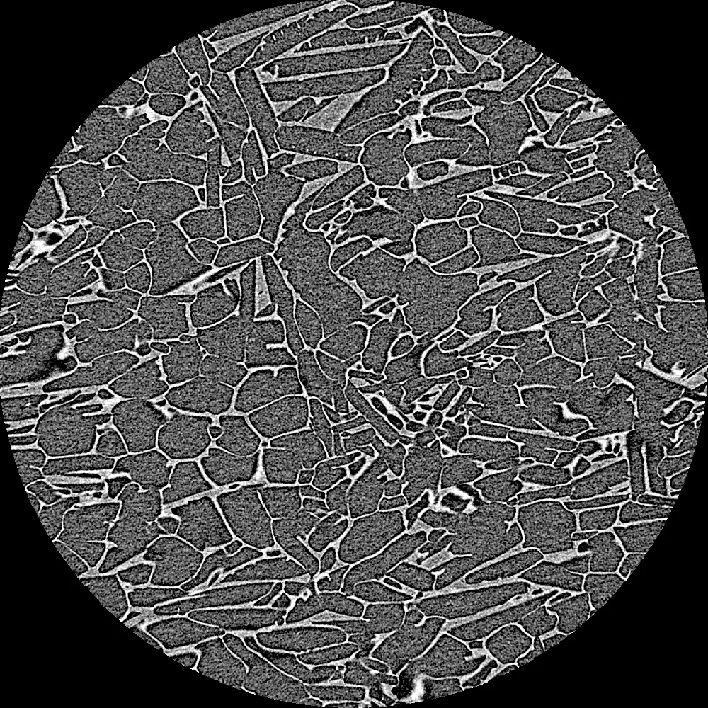 An XRM, x-ray microscopy, image of a lyo-cake, the lyophilized cake image reveals pores and thin walls which can be measured and quantified.