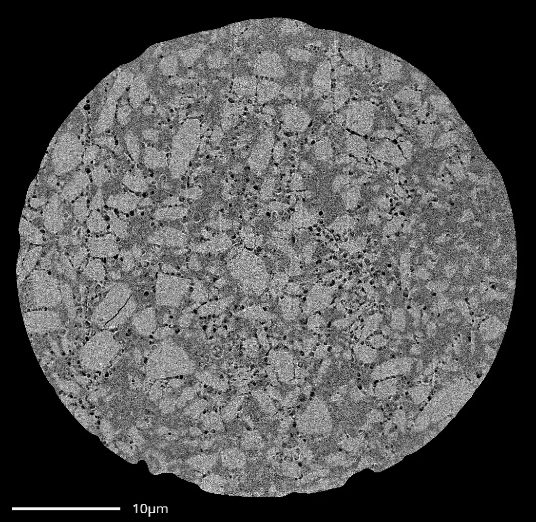 A cross section of a Microsphere scanned using FIBSEM, revealing a 3D image of a drug and polymer network with pores woven in between.