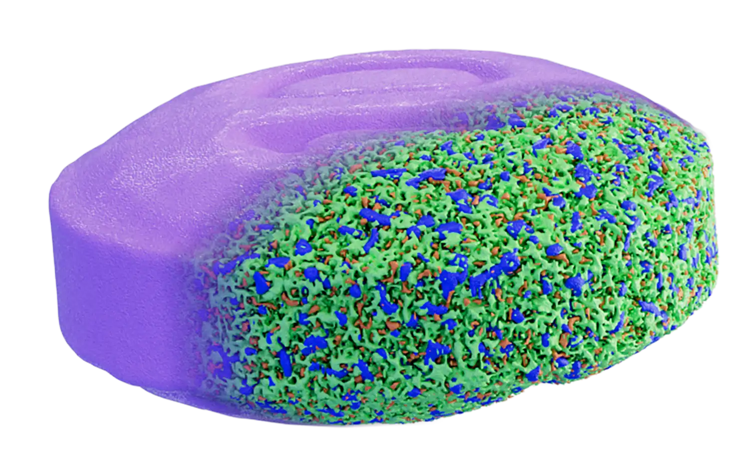 4K microstructure render of a DigiM pharmaceutical sample showing internal phase composition at high resolution