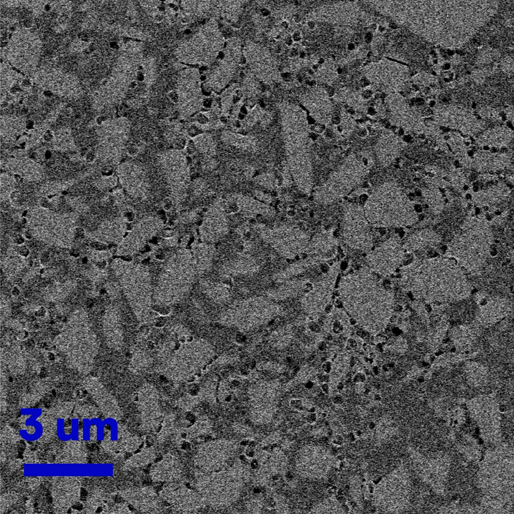 Controlled and Long-acting Release Prediction