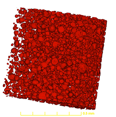 A 3D render of a spray dried dispersion particle batch segmented and quantified from X-ray micro-CT scan