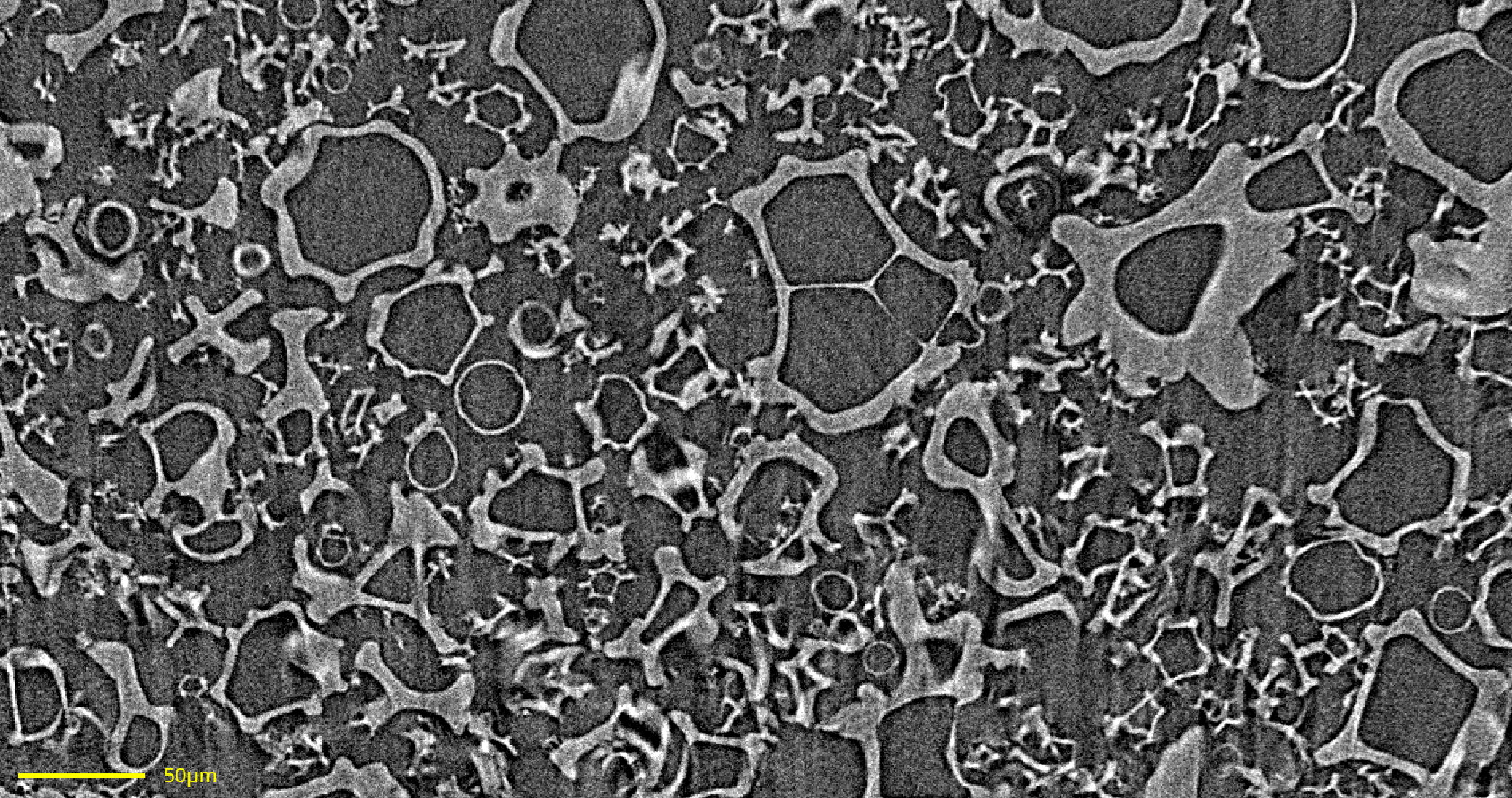 Before: Raw micro-CT scan of spray dried dispersion bed before AI segmentation