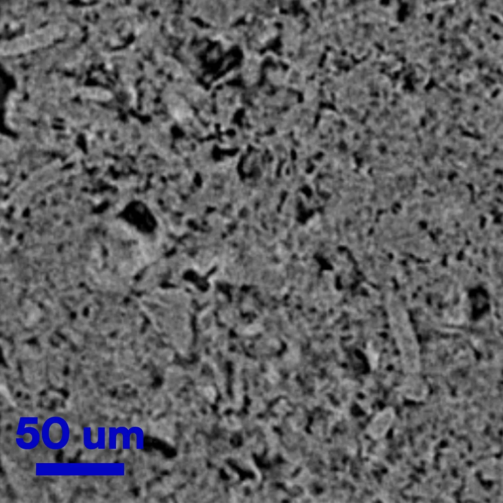 Disintegration and Water Uptake