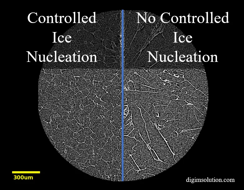 Lyo Controlled Ice Nucleation
