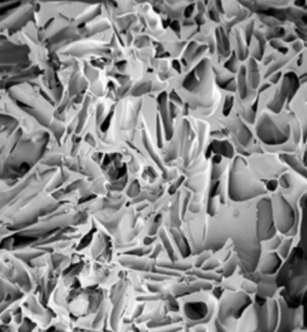 Publication cover: Mass transfer model for lyophilization drying kinetics