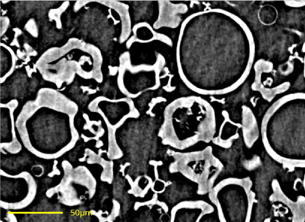 Publication cover: Synchrotron micro-CT analysis of spray dried dispersion particles