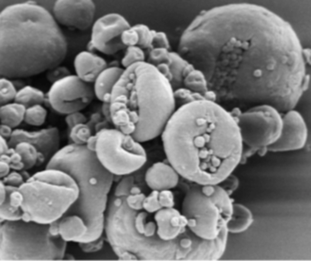 Publication cover: Spray dried amorphous solid dispersion recrystallization investigation