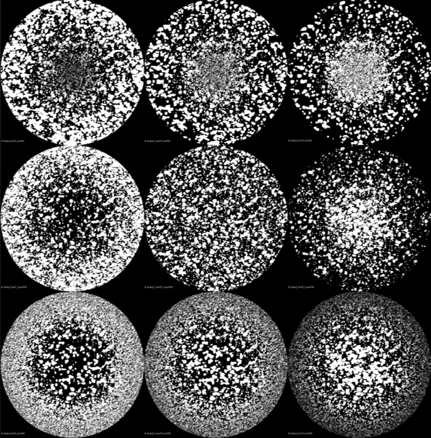 Microsphere cross section, showcasing a example microstructure that could be produced.