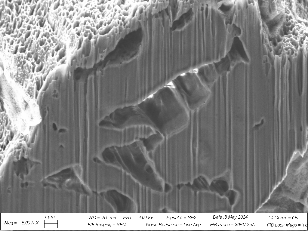 A cross-sectional view of a MCC particle revealing the high porosity of the material as a driving factor for tablet percolation.