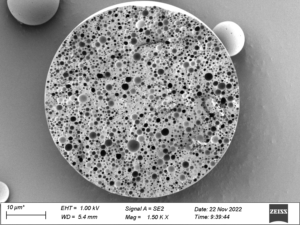 A SEM cross section of a porous PLGA microsphere, in order to assess the critical process parameters impact on microstructure and performance.