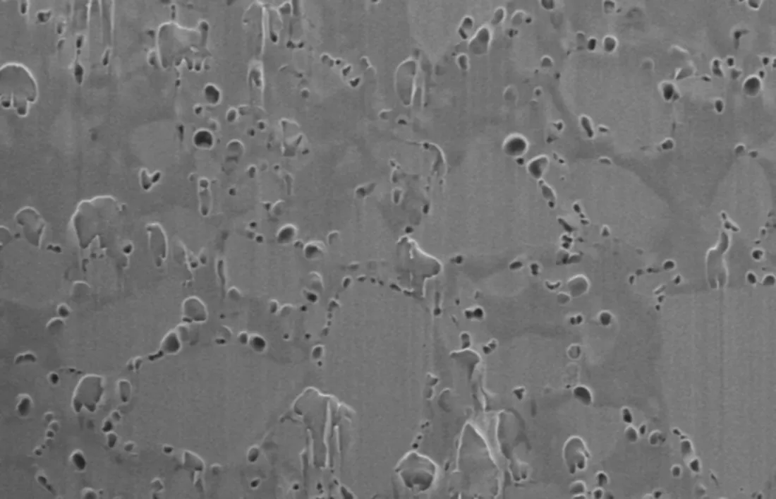 Publication cover: Drug size and porosity analysis in controlled release PLGA microspheres