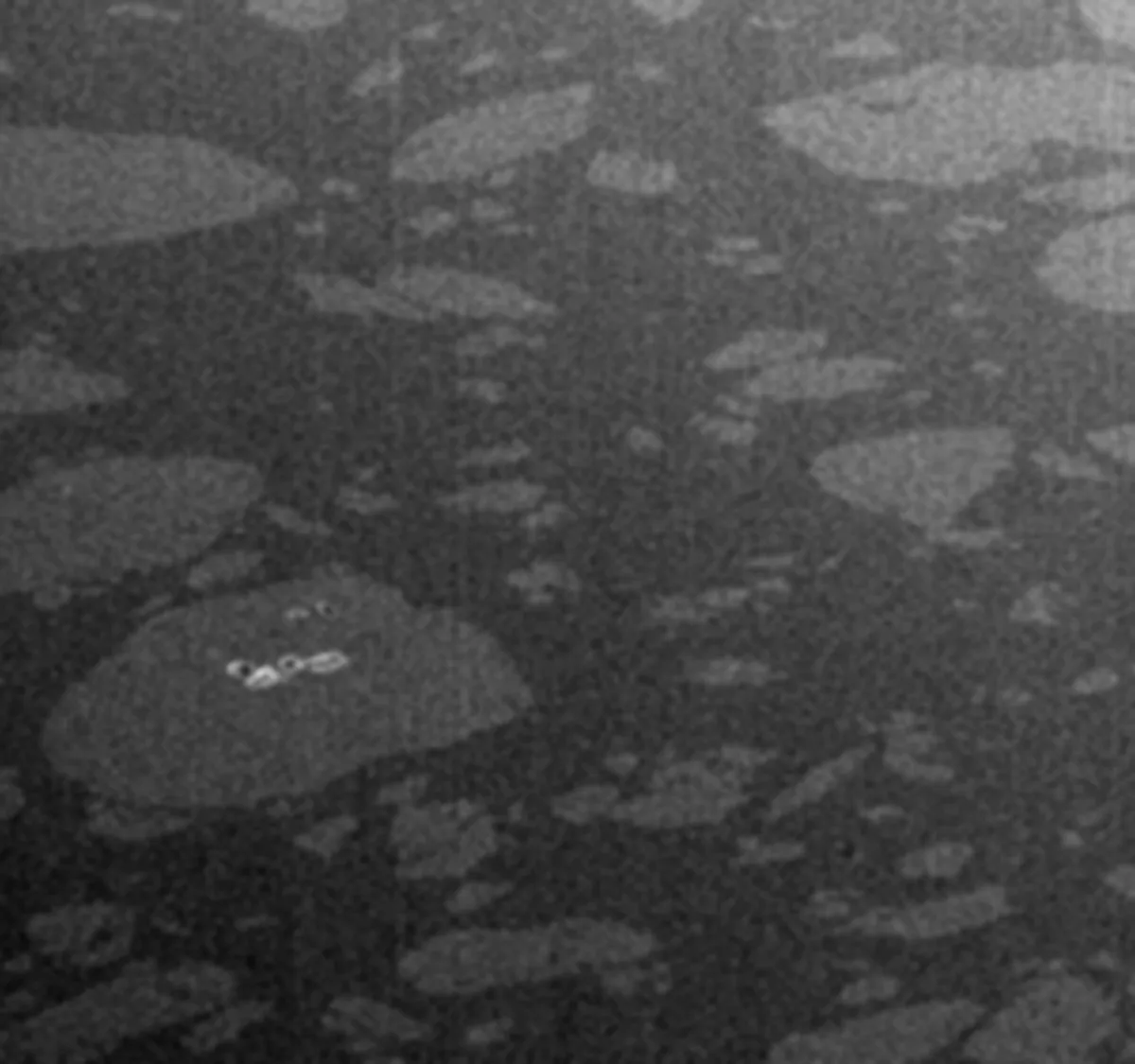 A SEM cross section of a birth control implant, in which the particle size variations of the drug materials can be seen.