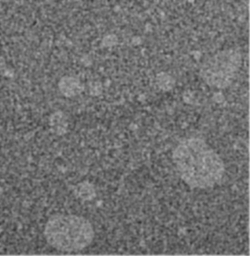 Publication cover: Non-invasive globule size distribution analysis of topical dosage forms