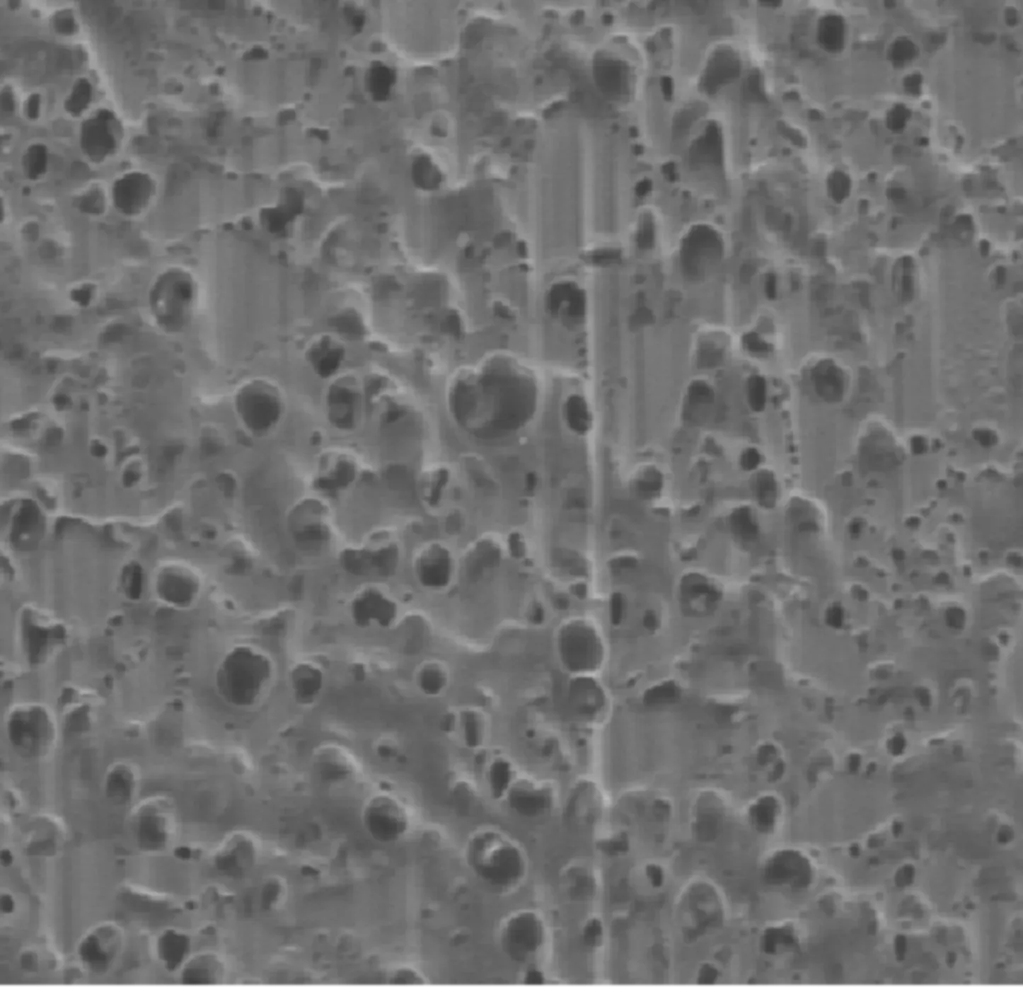 A SEM image of a controlled release micropshere.