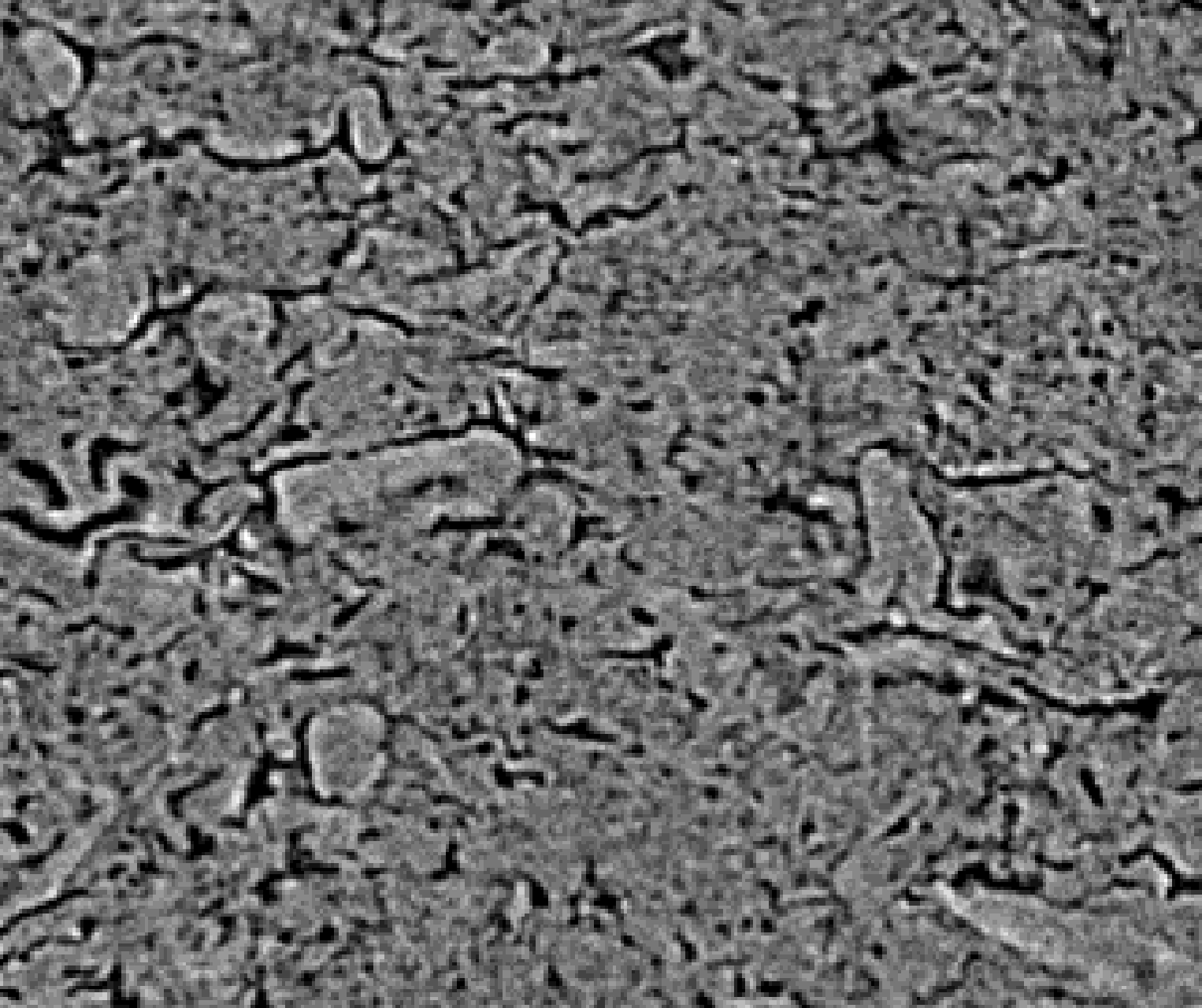 A tablet microCT image with a highly porous network inside formed from spray dried particles.