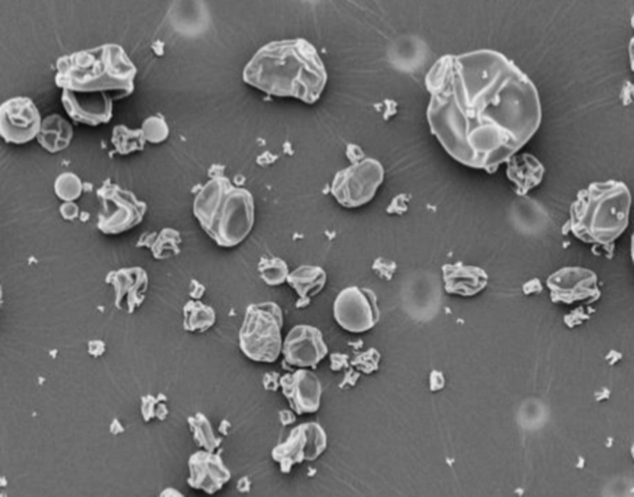 Publication cover: Analysis of spray dried particle porosity via X-ray micro-CT