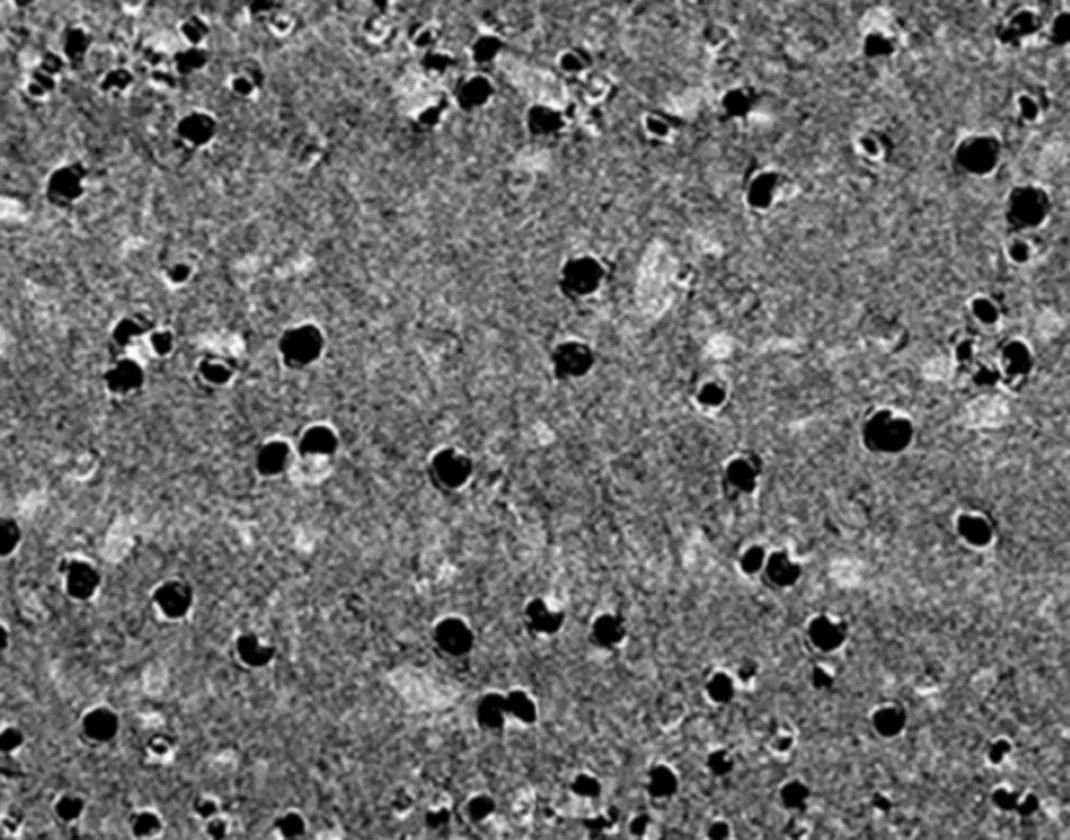 Publication cover: Characterization of controlled release polymer-meloxicam microsphere formulation