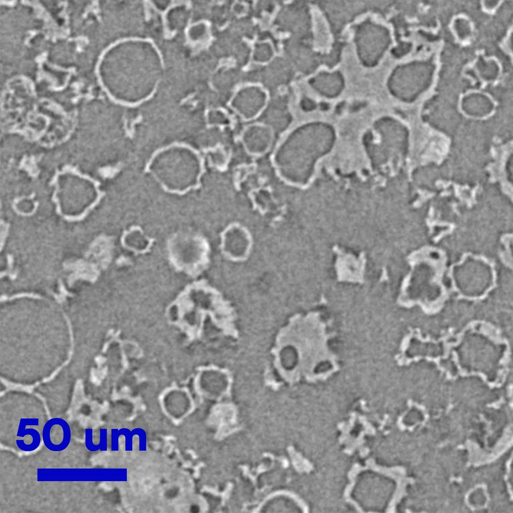 Particle Intrinsic Dissolution