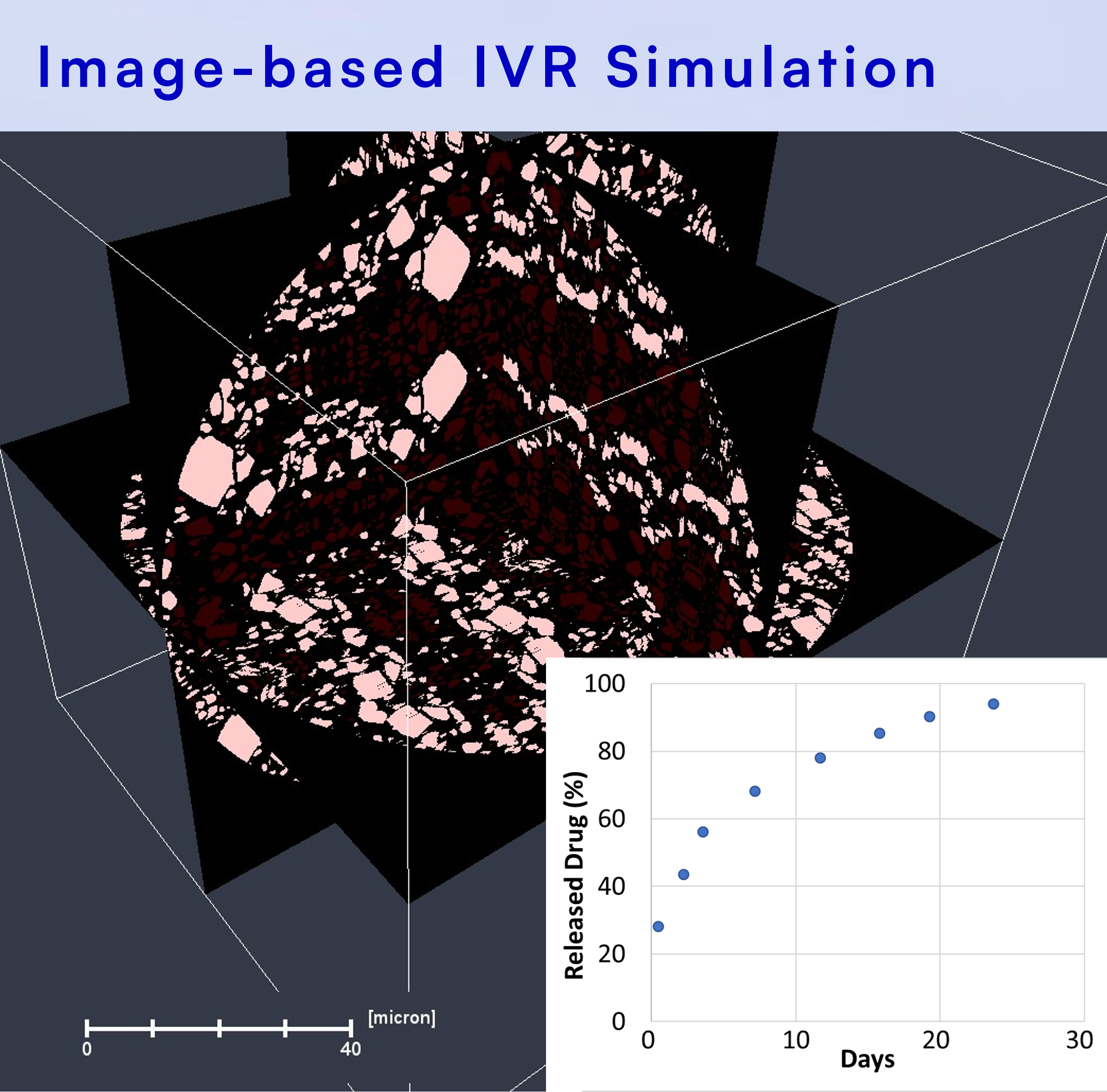 3D visualization of image-based in vitro drug release simulation from pharmaceutical microspheres
