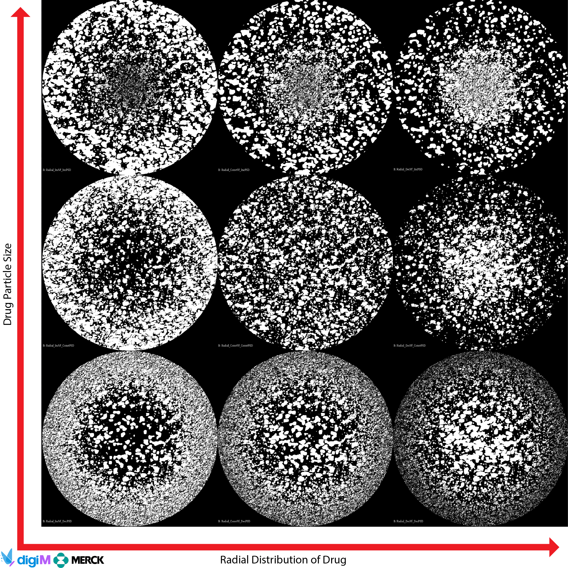 GAN structure synthesis output showing digitally generated pharmaceutical microstructures with controlled drug loading variations