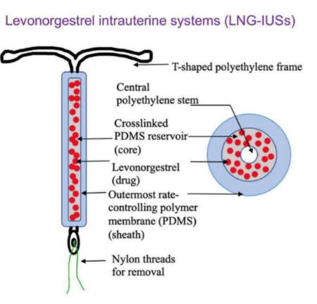 Cross-sectional diagram of an LNG-IUS showing the layered structure of the drug reservoir, rate-controlling membrane, and T-shaped polyethylene frame.