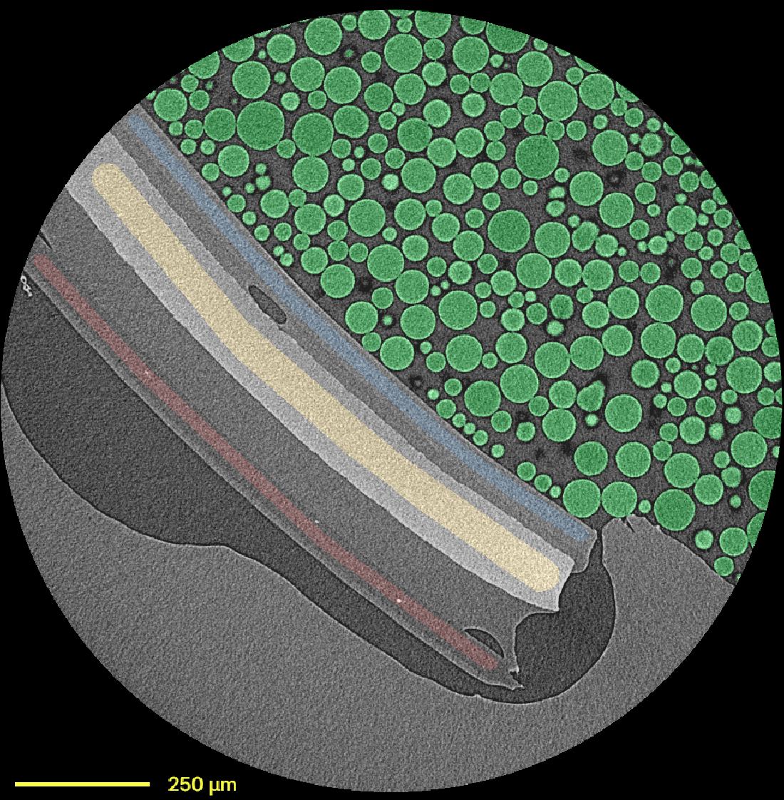 A New Chapter In The True Density of Microstructures