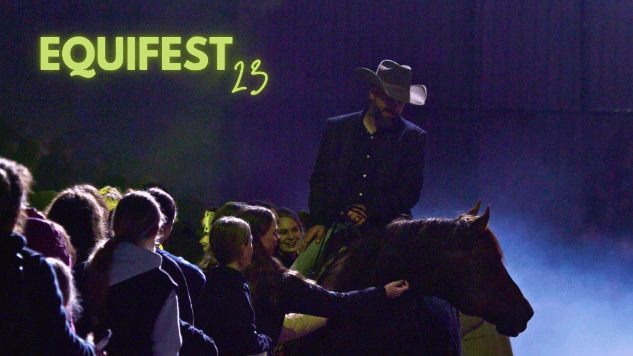 Dan Steers @ Equifest Nz