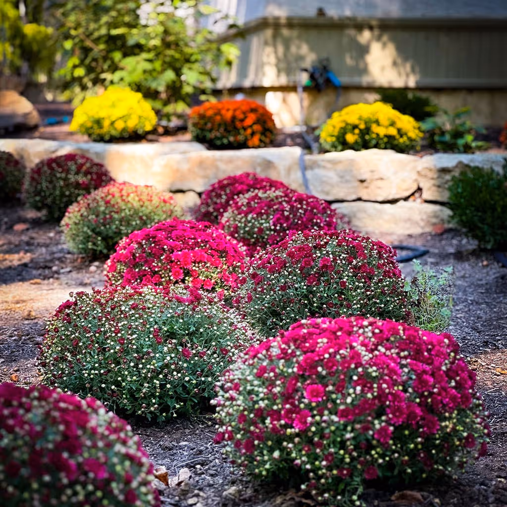 Landscape design in Springfield Ohio