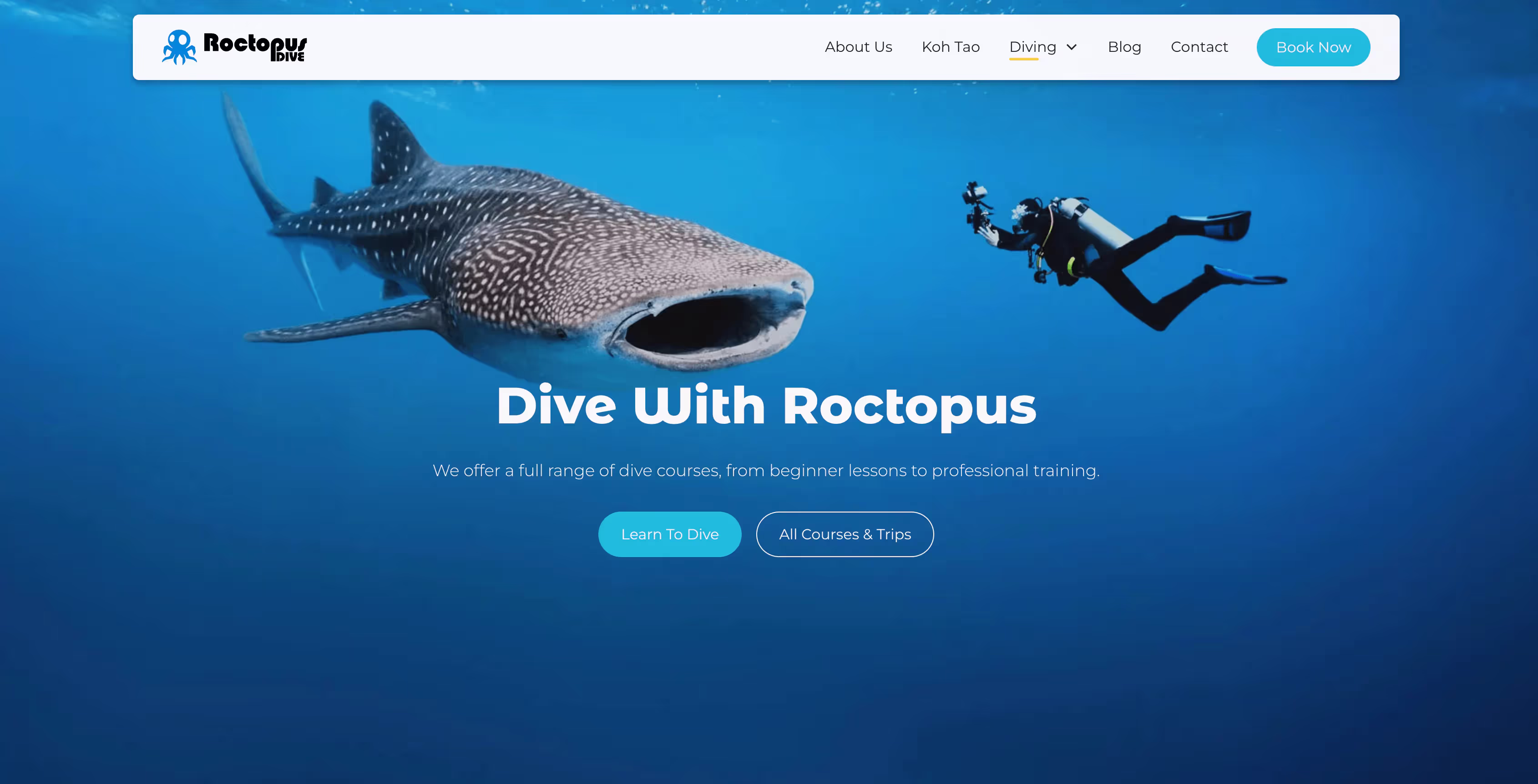 the hero section of Roctopus Dive scuba diving website 