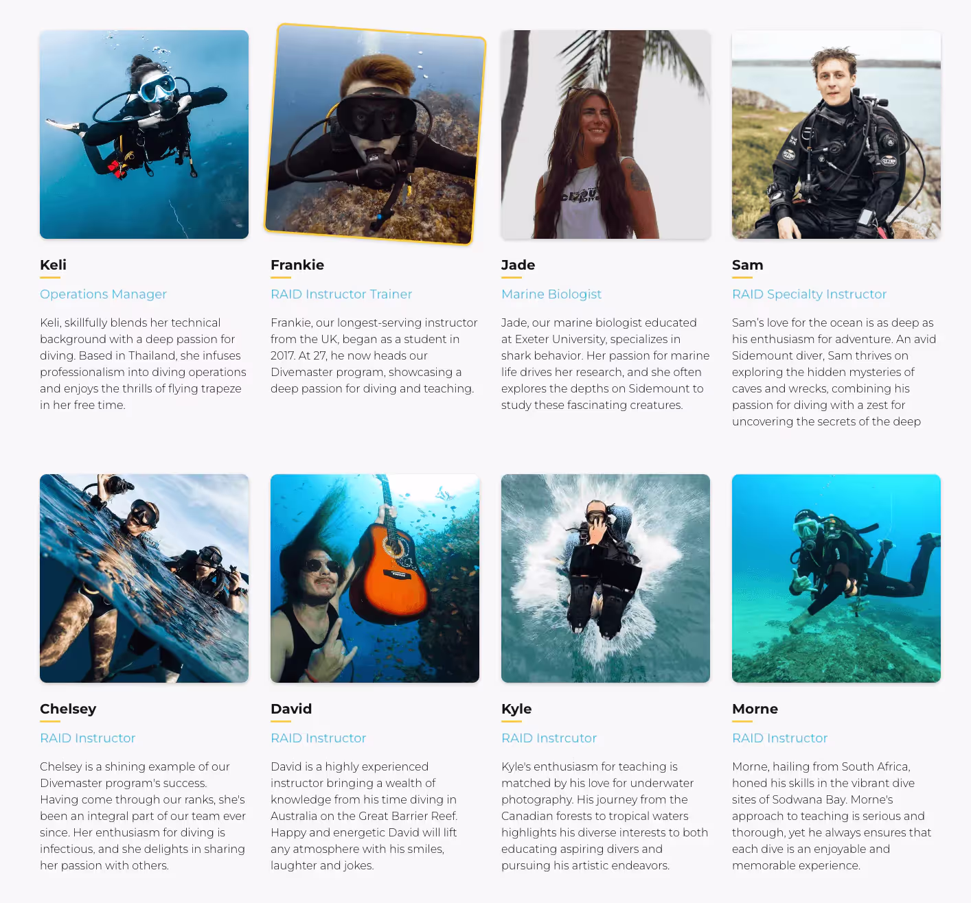 Meet the Team section of Roctpopus Dive