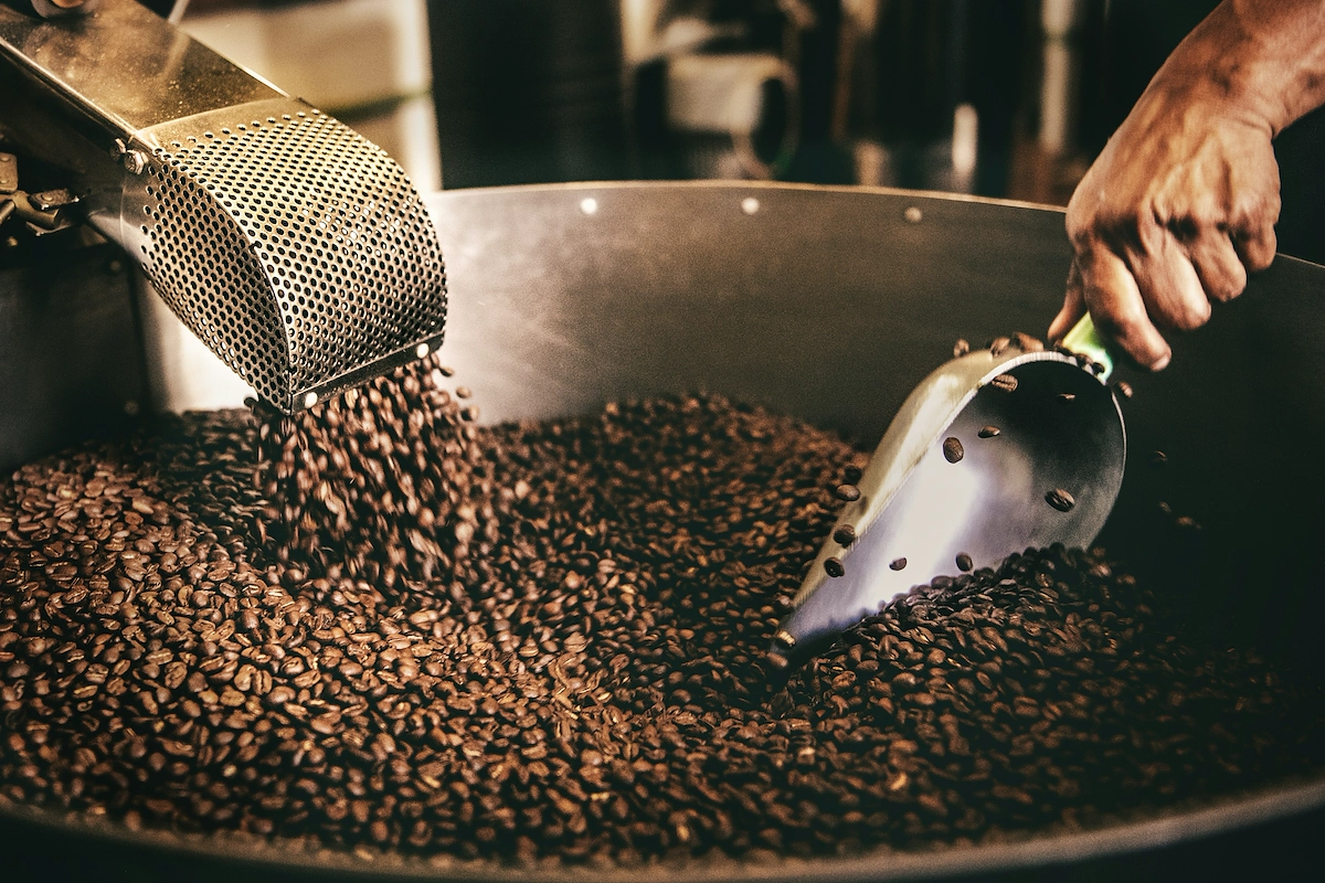 How to start a coffee roasting business