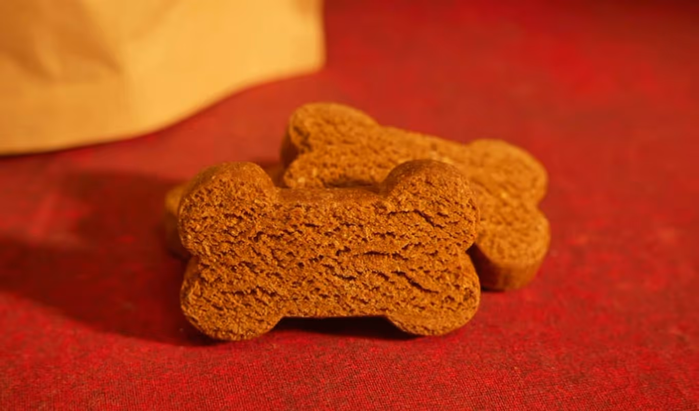 How to start a dog treat business