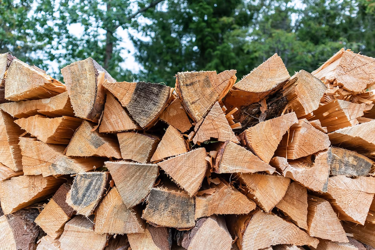 How to start a firewood business