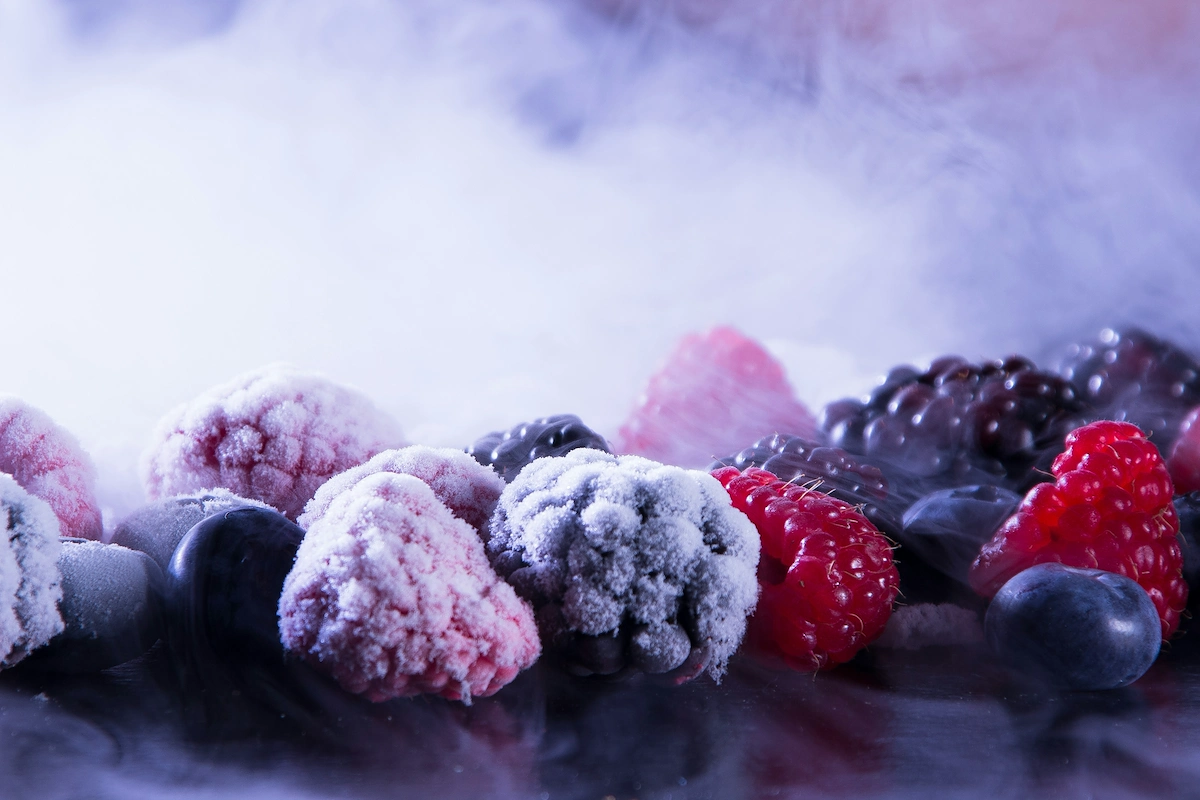 How to start a frozen food business