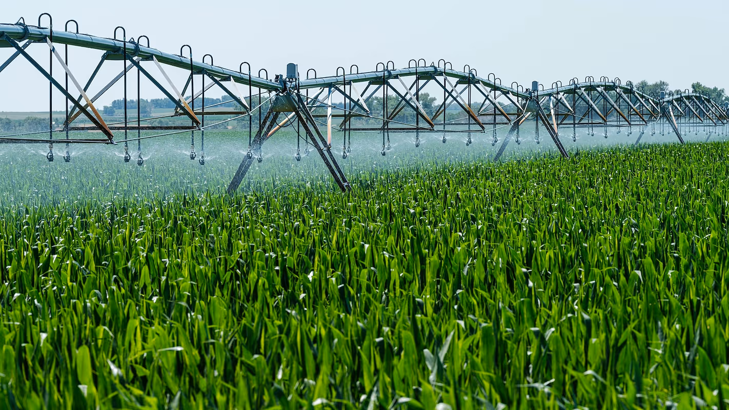 How to start irrigation business
