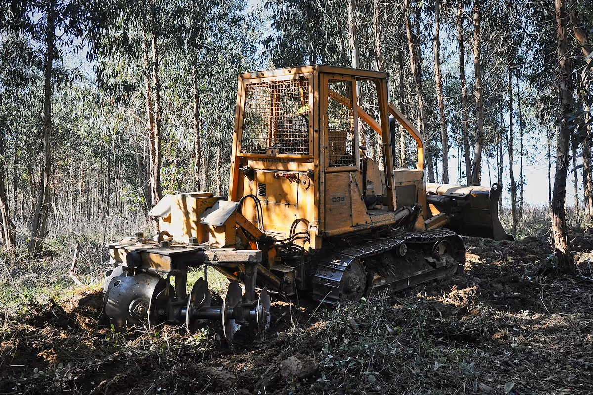 How to start a forestry mulching business