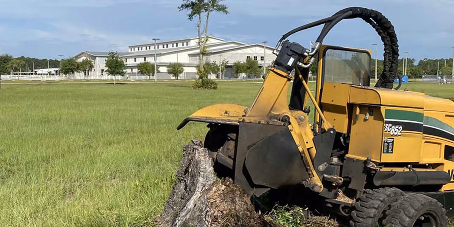 How to start a stump grinding business