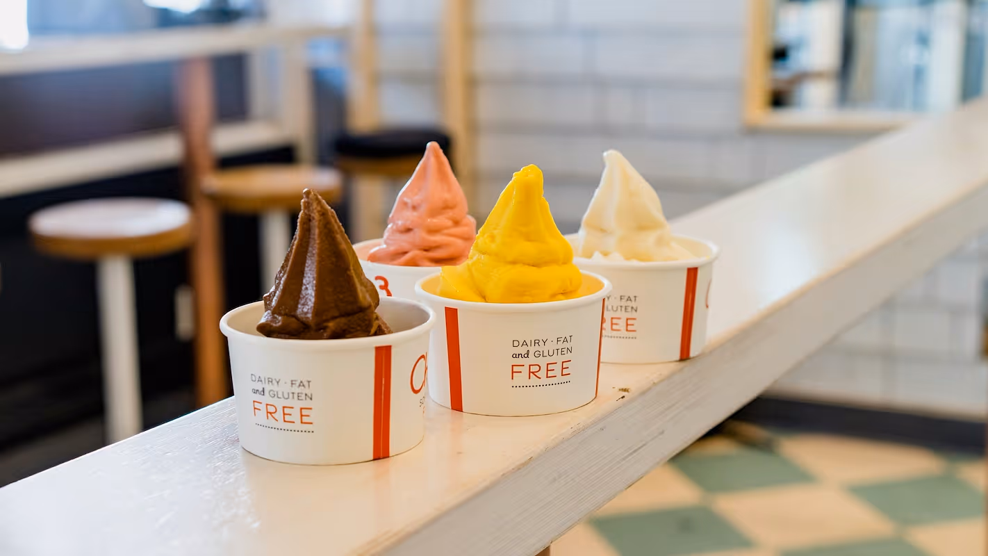 How to start a frozen yogurt business