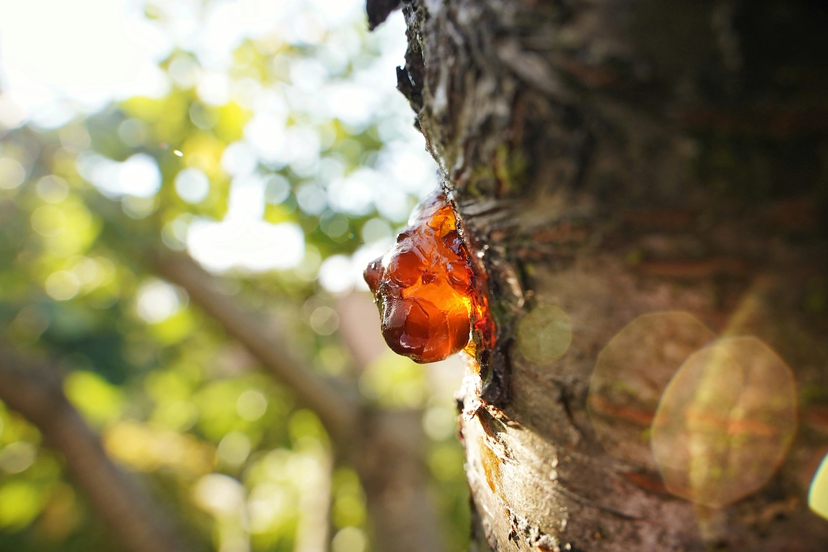 How to start a resin business