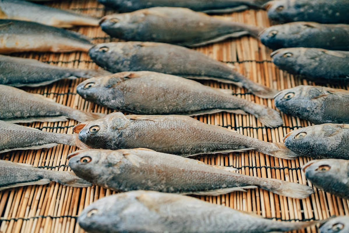 How to start a fish table business