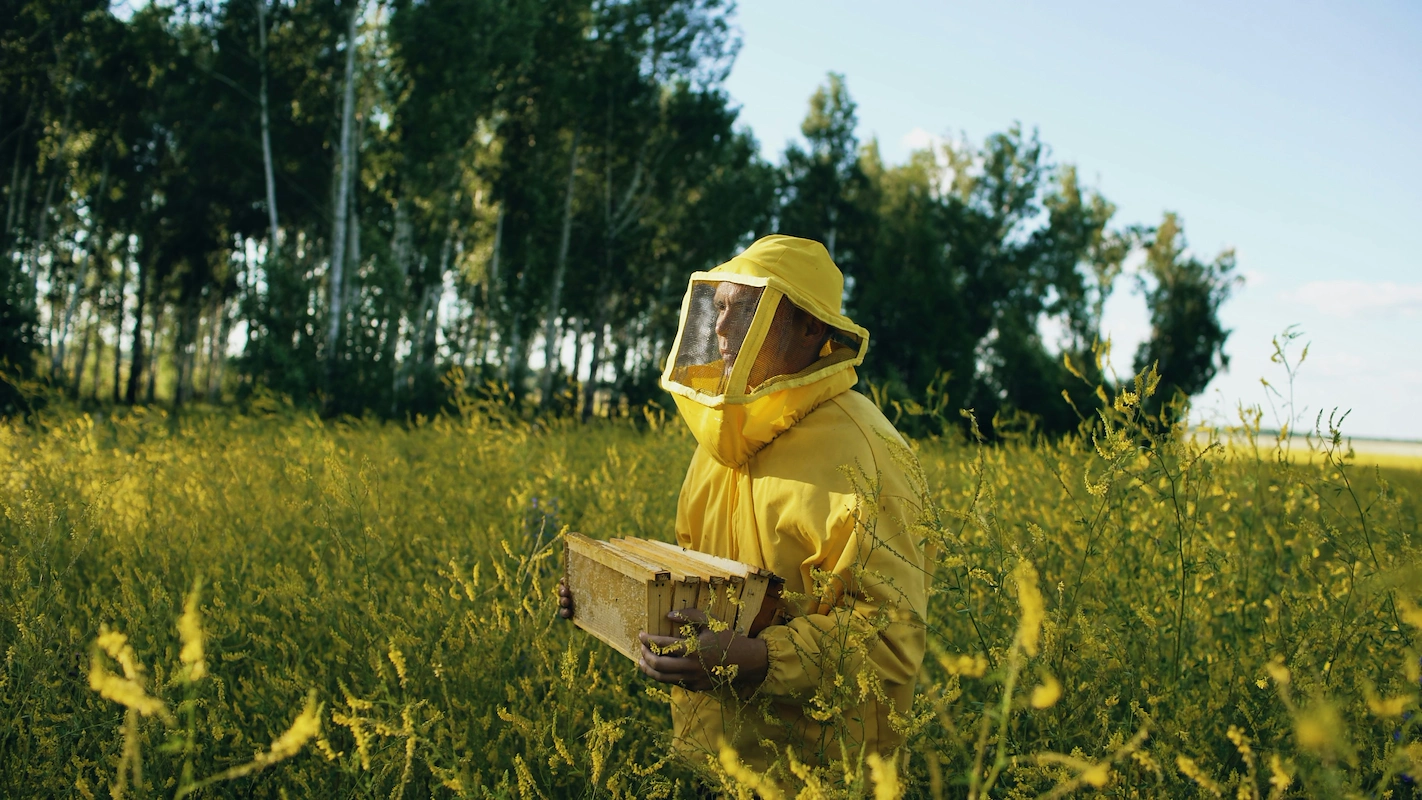 How to start a field inspection business