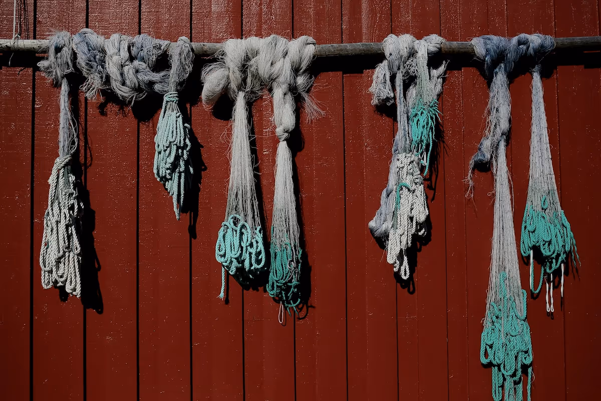 How to start a freeze drying business